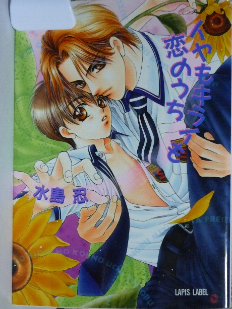 イヤもキライも恋のうち　水島忍(著)